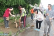 行动起来！我院积极参加开平市“灭蚊防病 健康你我”爱国卫生月