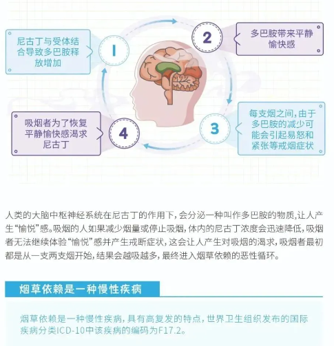图片 11