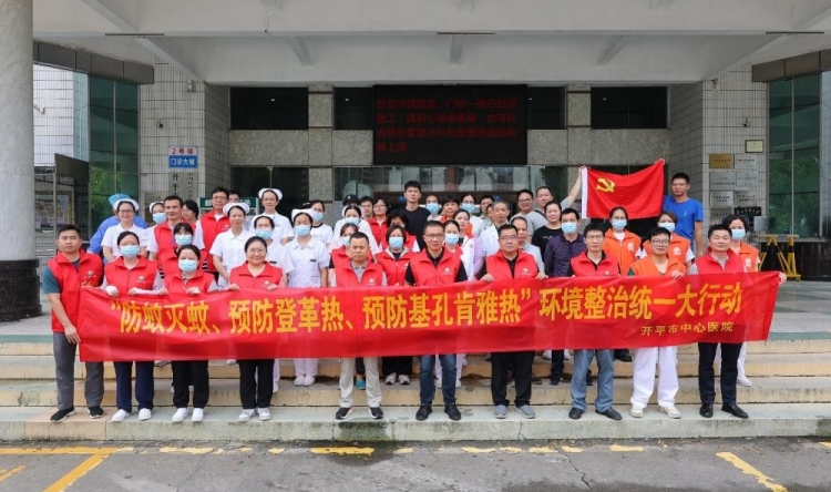 让党旗在基孔肯雅热防控一线高高飘扬