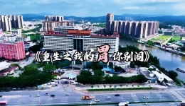 重生之我的胃你别闹