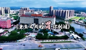 重生之我的胃你别闹