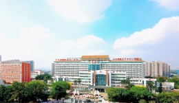 开平市中心医院2025年度工作总结大会